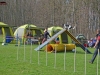 agility-4
